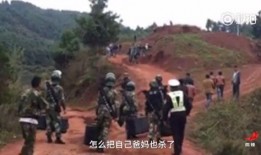 戈田山爬山爆料案件最新,揭秘背后惊人真相